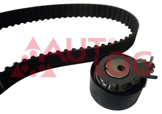  Correia do mecanismo de distribuição de gás, kit Renault Twingo I hatchback (C06) (1992 - 2007) I