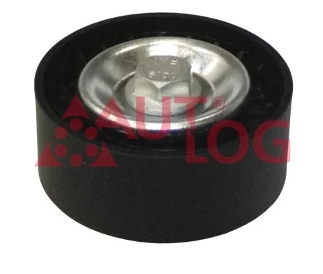 Rolo parasita da correia de transmissão 532060610 LUK