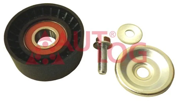 Rolo parasita da correia de transmissão Peugeot/Citroen 55494332