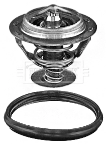  Termostato Audi Q3 SUV (F3B) (2018 - 2026) 