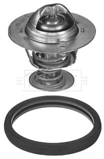 Compre Termostato Ford Focus 4