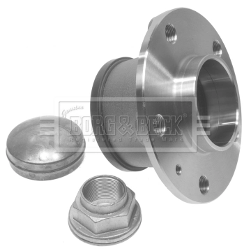 71753810 Fiat/Alfa/Lancia Cubo traseiro