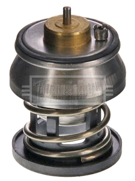 Compre Termostato BMW 2 