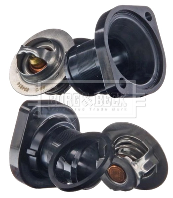 Compre Termostato Peugeot 307 