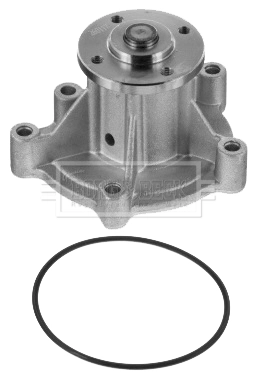 Bomba de água (bomba) de esfriamento 1623109480 Peugeot/Citroen