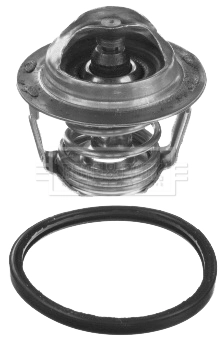 Compre Termostato Chevrolet Captiva 2