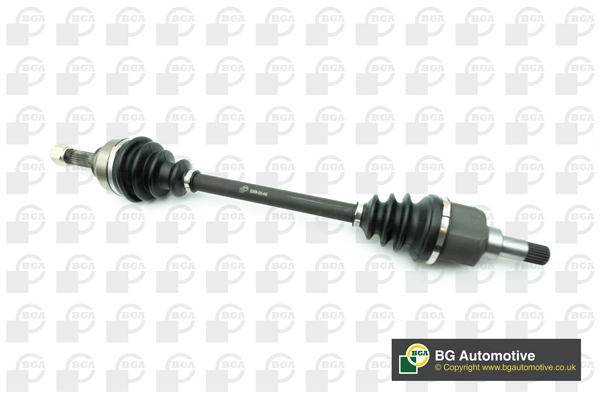 DS1420L BGA