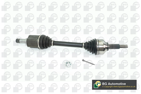 DS2389L BGA