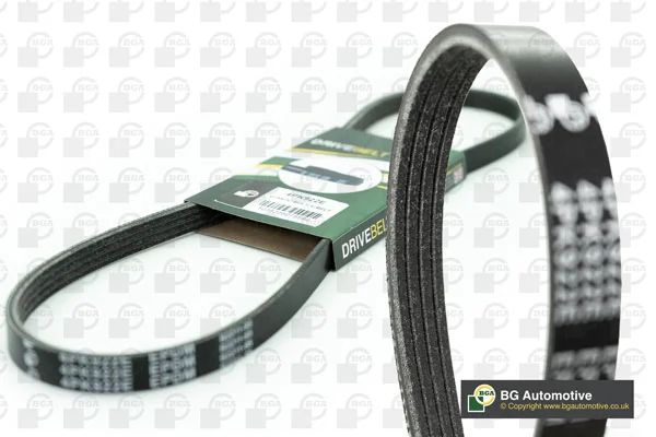 Correia dos conjuntos de transmissão Nissan/Infiniti 11950F4300 preço, a partir de 12,95 USD