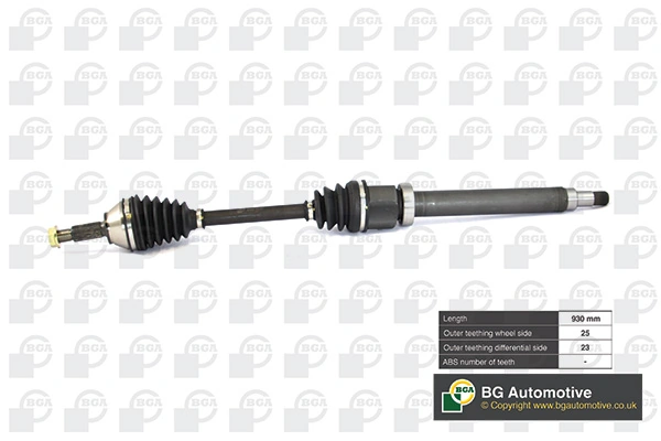 DS2301R BGA