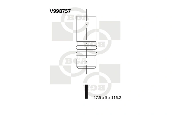 Válvula de escape Peugeot/Citroen 55558728