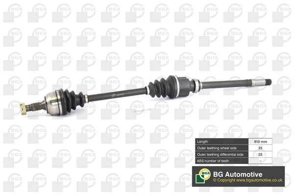 DS6724RA BGA