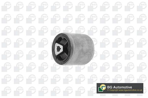 Bloco silencioso dianteiro do braço oscilante inferior para BMW 5 E61
