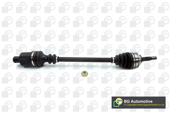 DS7302RA BGA