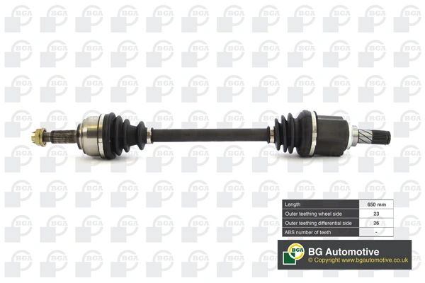 DS6310L BGA