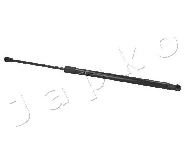 ZSJ09170 Japko