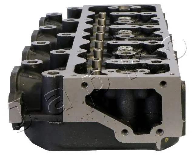 JNS008S Japko Cabeça de motor (CBC)