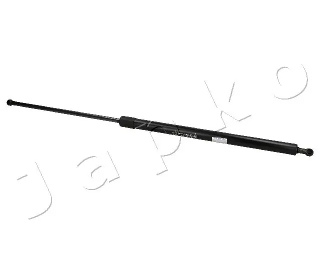 ZSJ07005 Japko