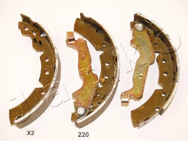 55220 Japko