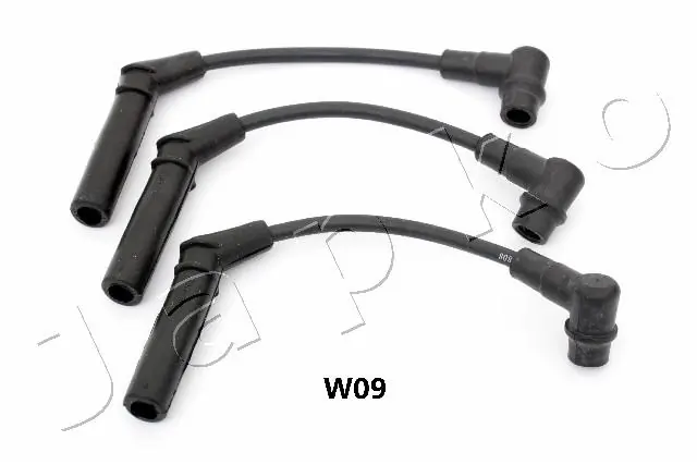 132W09 Japko