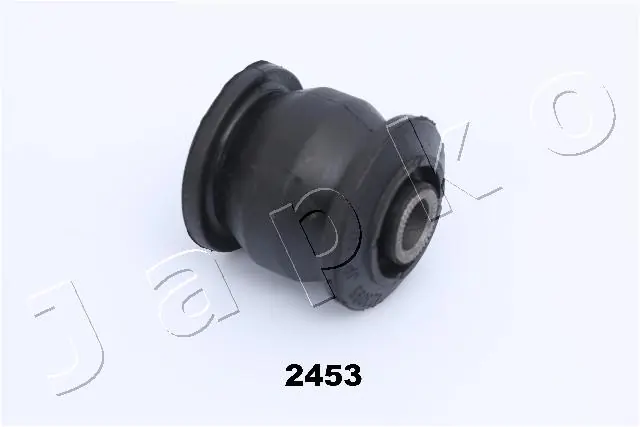 GOJ2453 Japko