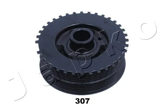 122307 Japko