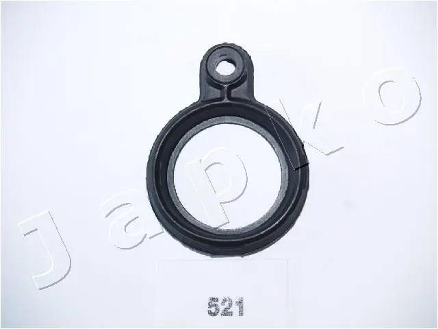 47521 Japko