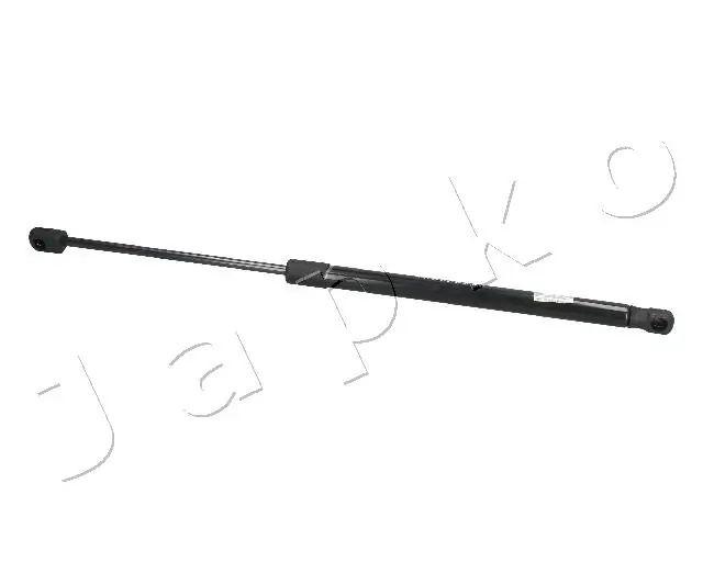 ZSJ09051 Japko