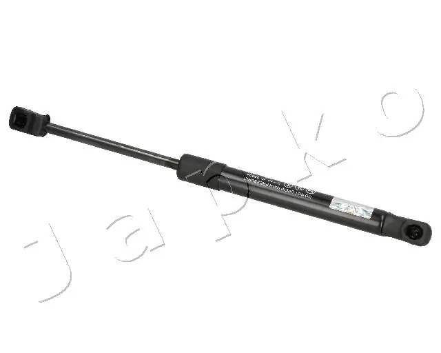 ZSJ09004 Japko