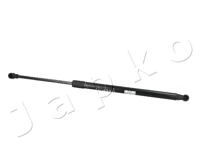 ZSJ09062 Japko
