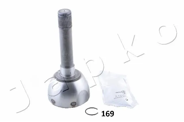 62169 Japko