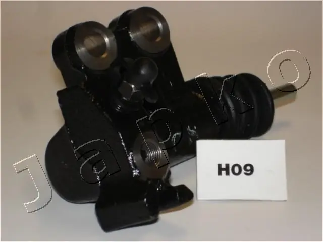 85H09 Japko
