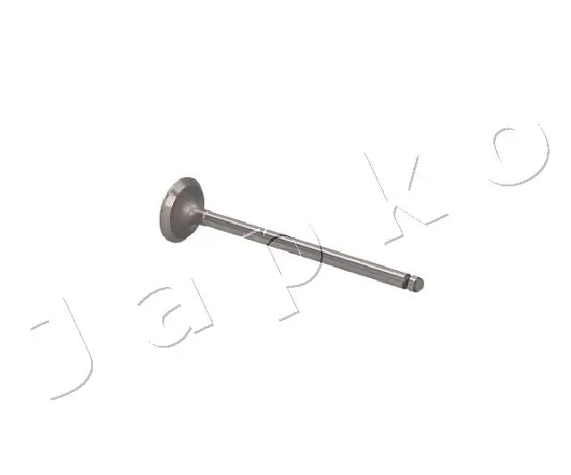 5HY004 Japko