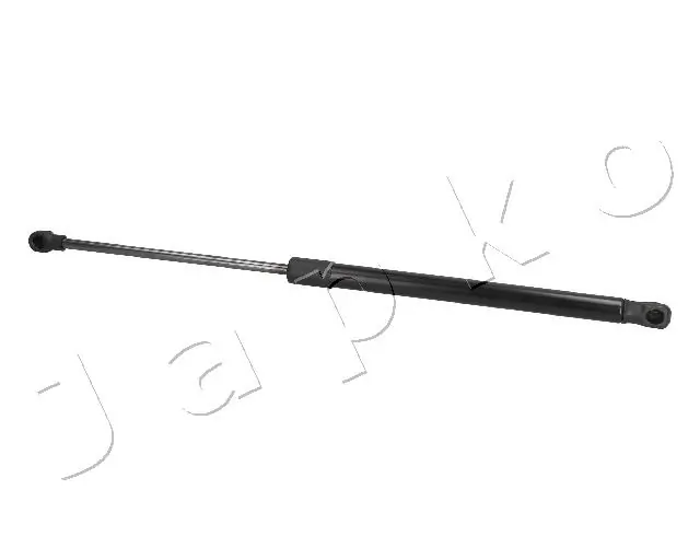 ZSJ09190 Japko