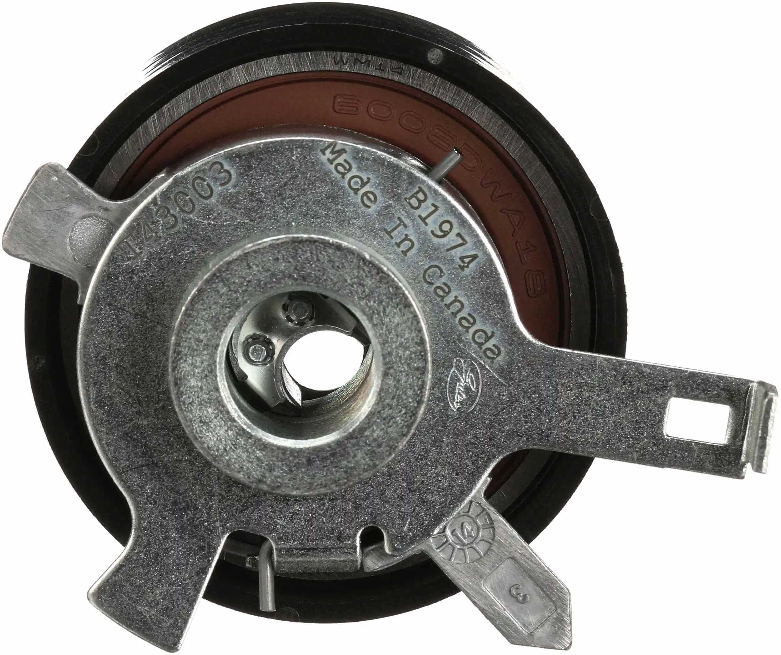 Rolo de reguladora de tensão da correia do mecanismo de distribuição de gás Ford Maverick II SUV (1N2) (2001 - 2007) II