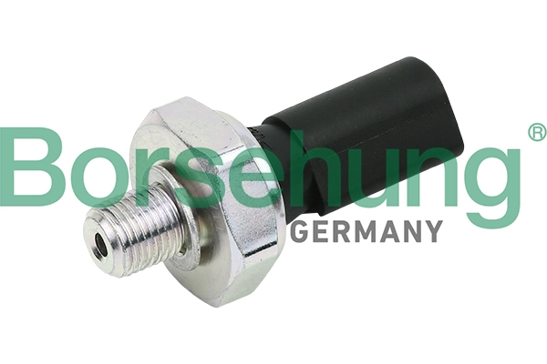 B13138 Borsehung