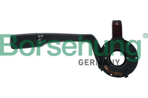 B17969 Borsehung