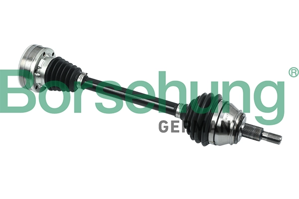 B18329 Borsehung