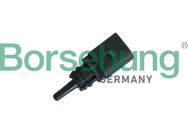B11864 Borsehung