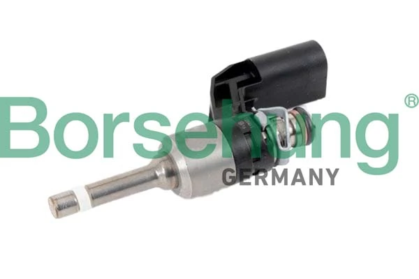 B11170 Borsehung