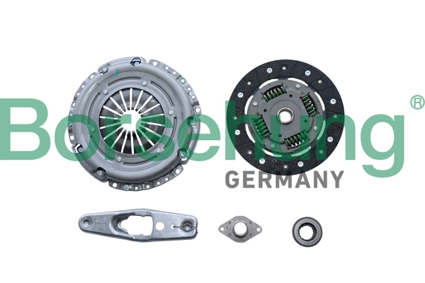 B10916 Borsehung
