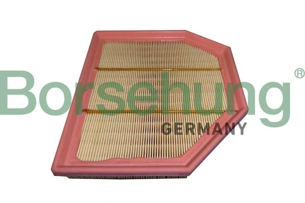 B12455 Borsehung