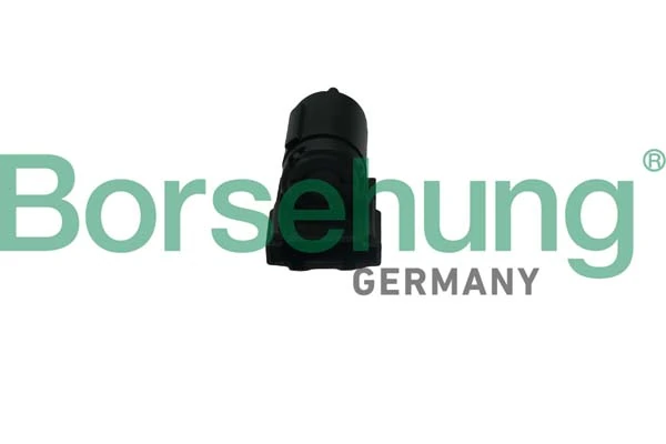 B17964 Borsehung