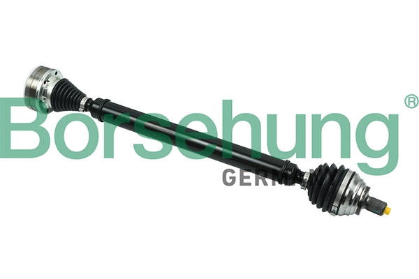 B18423 Borsehung