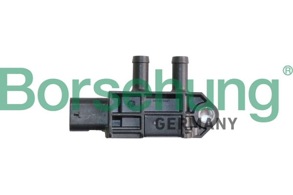 B11880 Borsehung