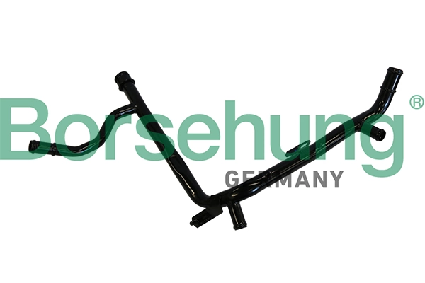 B19217 Borsehung