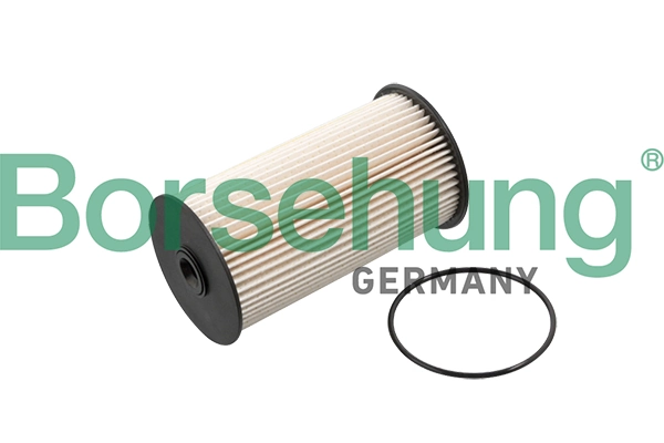B10520 Borsehung