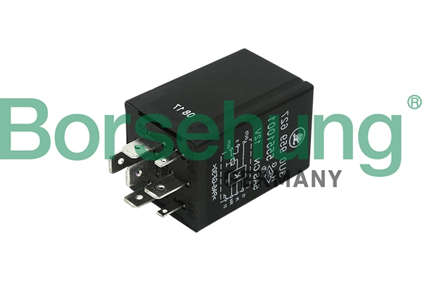 B17813 Borsehung