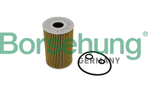 B10535 Borsehung