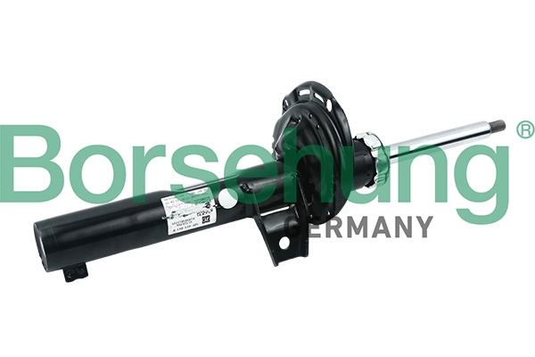 B17892 Borsehung